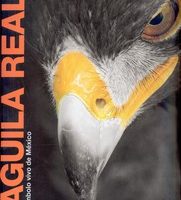 ÁGUILA REAL