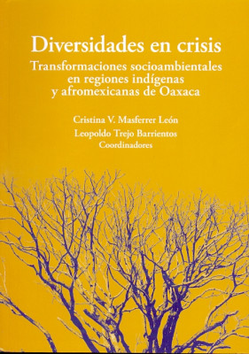 DIVERSIDADES EN CRISIS