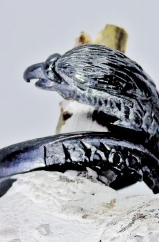 Anillo Black Eagle Ajustable