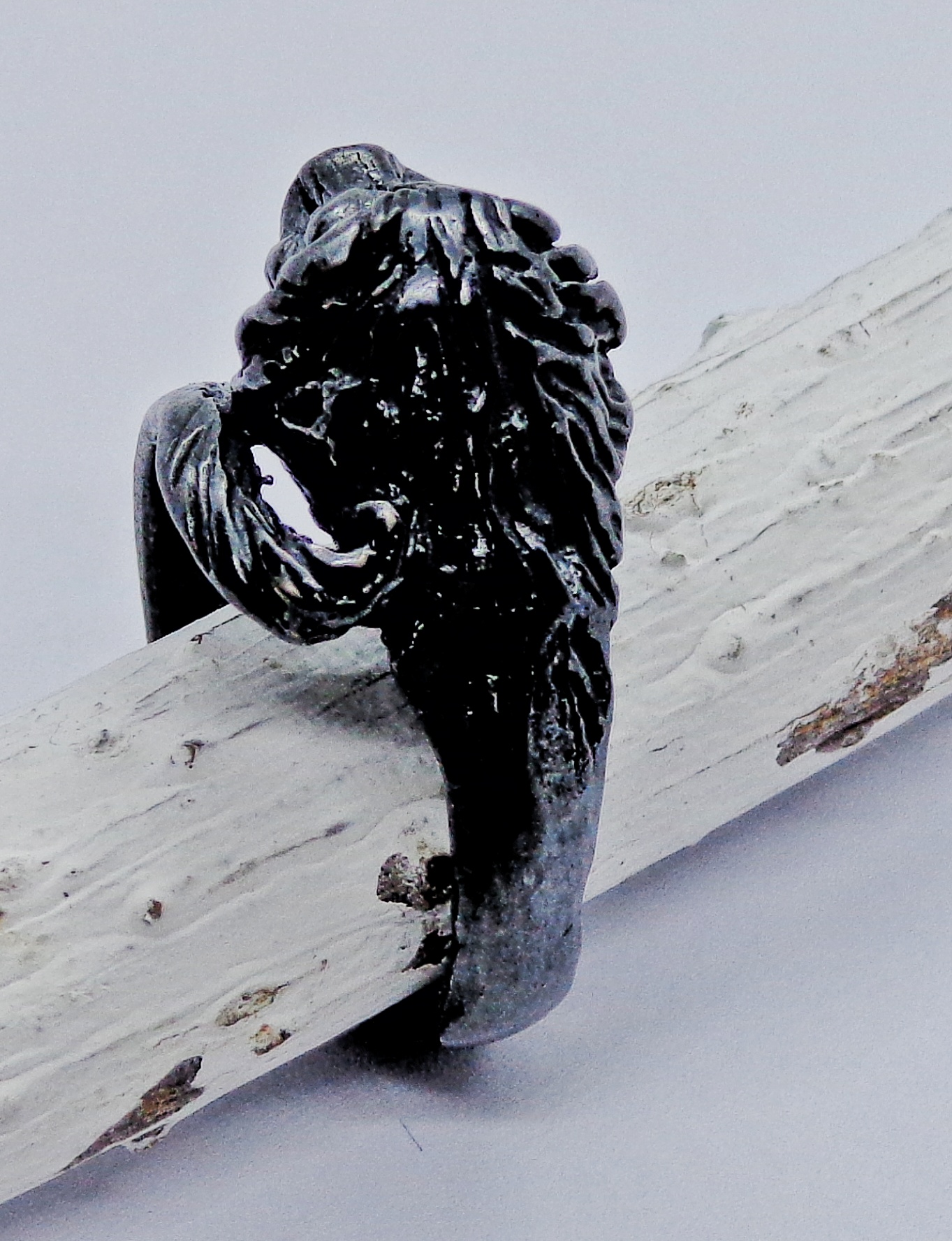 Anillo Black Silver León Etrusco - Imagen 2