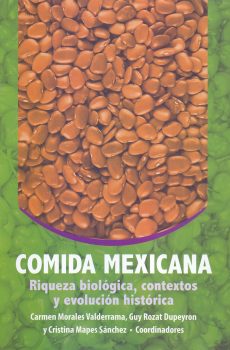 Comida mexicana