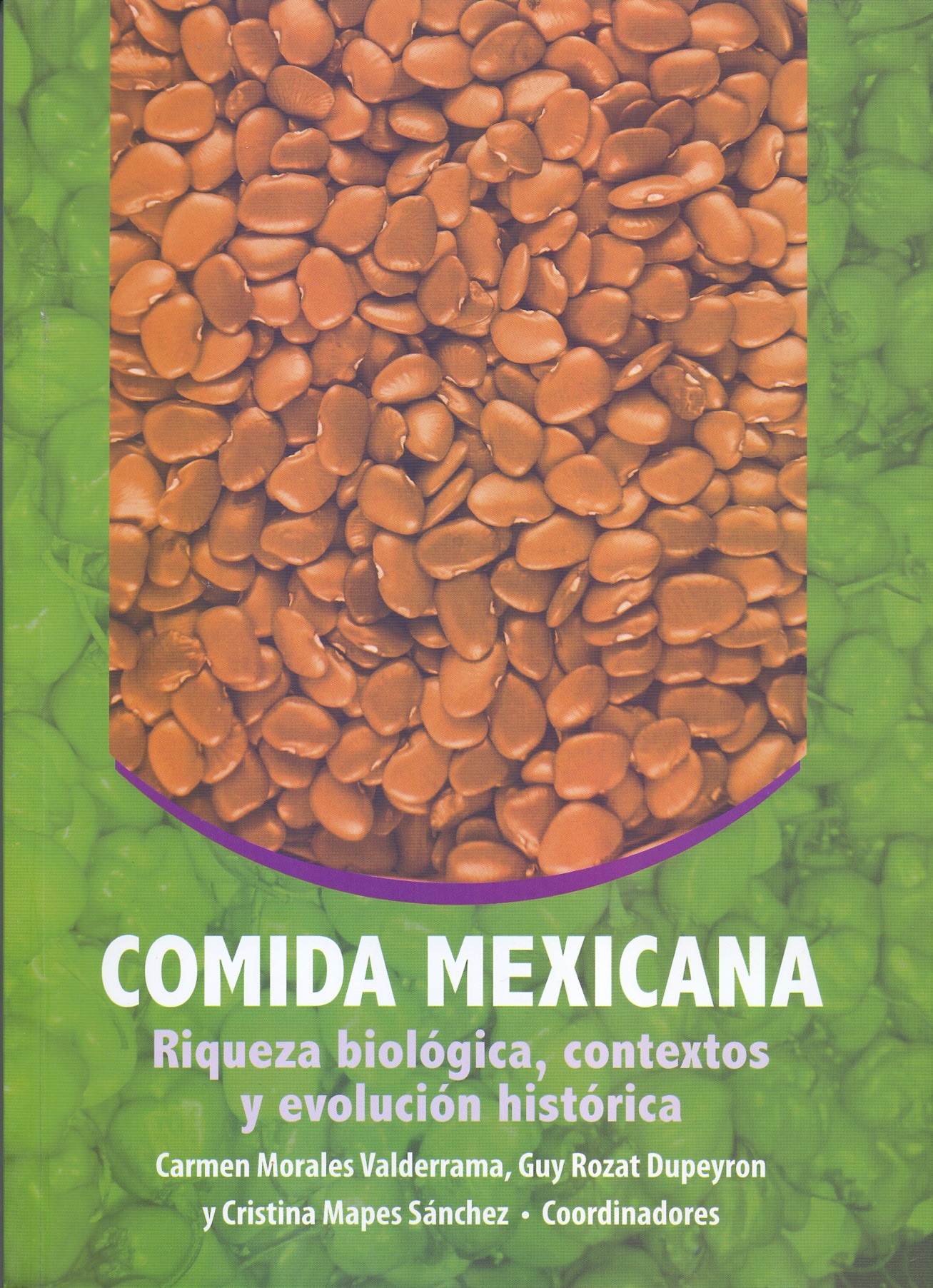 Comida mexicana