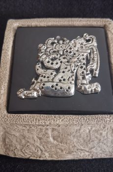 JAGUAR HABLANDO