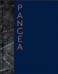 Pangea. 25 años