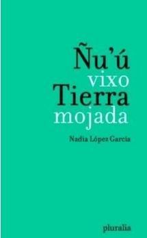 Ñu’ú vixo / Tierra mojada ’ [libro bilingüe]